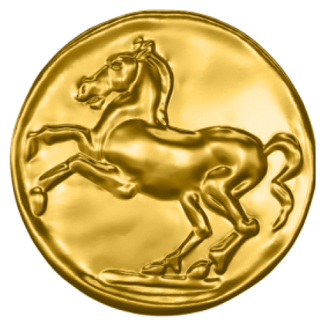 Virtuelle Sport-Erfahrung