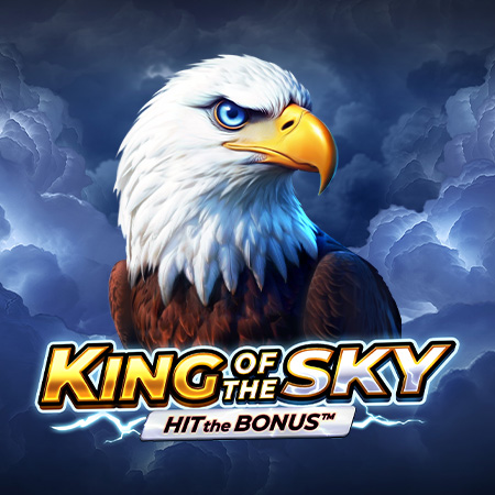 King of the Sky: Hit the Bonus