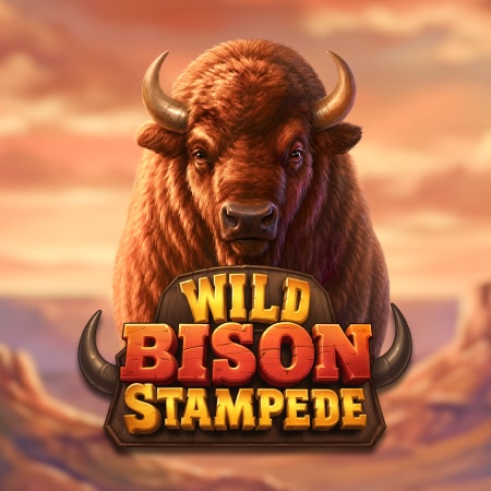 Wild Bison Stampede