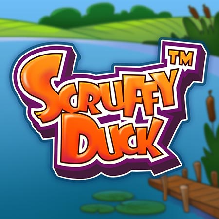 Scruffy Duck