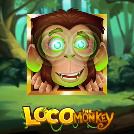 Loco the Monkey