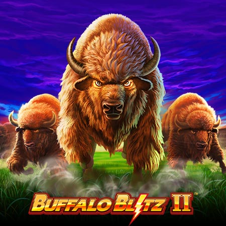 Buffalo Blitz 2