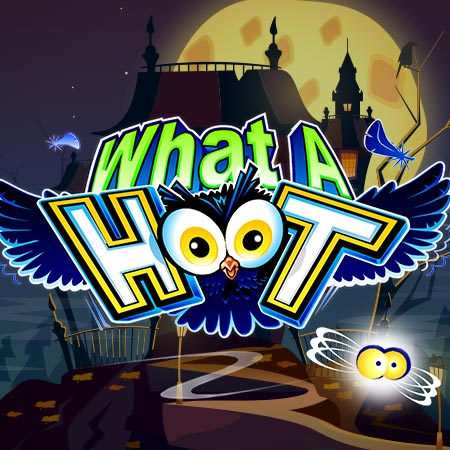 What A Hoot
