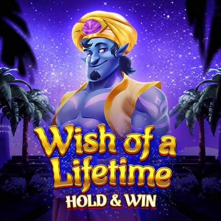 Wish of a Lifetime: Hold & Win