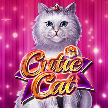 Cutie Cat