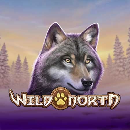 Wild North