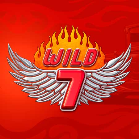 Wild 7
